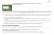Tree Identification Resources for Students and Teachers Identification Resources for... · Tree Identification Resources for Students and ... trees and their leaves contain ... trees/dichotomous_key.html