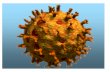 Gastroenteritis por Rotavirus en la Vida Real. Vacunaciónanecipn.org/pdf/congresos/XXX/documentos/25 SEP... · Jefe de la Unidad de Pediatría Social. ... Compatibilidad Morbilidad