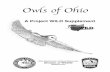 Owls of Ohio - Wildlife Homewildlife.ohiodnr.gov/portals/wildlife/pdfs/education/pw owls of...sounds from a prey source and capture it in ... more adaptable and aggressive great horned