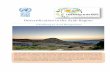 Desertification in the Arab Regioncss.escwa.org.lb/SDPD/3487/Desertification.pdf · 2015-08-28 · Desertification in the Arab Region ... desertification and is leading to substantial