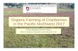 Organic Farming of Cranberries in the Pacific … · Organic Farming of Cranberries in the Pacific Northwest 2017 ... •Weeds that have been treated with vinegar (10% acetic acid):
