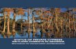 "Status of Private Cypress Wetland Forests in Georgia.” · STATUS OF PRIVATE CYPRESS WETLAND FORESTS IN GEORGIA ... STATUS OF PRIVATE CYPRESS WETLAND FORESTS IN GEORGIA ... cypress