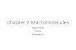 Chapters 2 & 3 Macromolecules - sdoshi [licensed for non …sdoshi.pbworks.com/.../Biology-Chapters-2and3nb1.pdf · 2018-06-03 · Macromolecules There are four types of macromolecules.