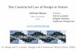 The Constructal Law of Design in Nature - squ.edu.om Bejan_ The... · *A. Bejan and S. Lorente, Design with Constructal Theory (Wiley, 2008) Adrian Bejan Duke University USA The …