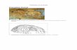 Prehistoric Art in Europe - Highlands School District · Prehistoric Art in Europe Paleolithic Period 1. Wall with Horses, Cosquer Cave, ... Stonehenge, Salisbury Plain, Wiltshire,