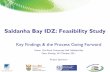 Saldanha Bay IDZ: Feasibility Study · Saldanha Bay IDZ: Feasibility Study ... – In-company training will occur for ... • Link with Transnet National Ports Authority’s strategic