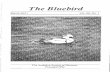 The Bluebird - The Audubon Society of Missouri · 3906 Grace Ellen Dr. Columbia, MO 65202 (573) ... Deadlines for submission of material for publication in The Bluebird ... Katy Burkett,
