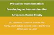 Probation Transformation: Developing an … Transformation: Developing an Intervention that Advances Racial Equity 2017 National Council of Juvenile and Family Court Judges Juvenile