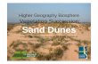 Higher Geography Biosphere Vegetation Succession: …macaulay.webarchive.hutton.ac.uk/soilquality/Dune Succession.pdf · Higher Geography Biosphere Vegetation Succession: Sand Dunes