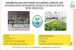 ISOLATION AND IDENTIFICATION OF MICROBES FOR … · absorption and conversion of ammonia, nitrates and nitrogen using aquaponics system by the application of micro organisms guide:-ananda