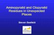 Aminopyralid and Clopyralid Residues in Unexpected … · • Aminopyralid and Clopyralid – Both are synthetic auxins ... Extraction Results 0 0.005 0.01 0.015 0.02 0.025 0.03
