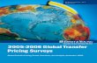 2005-2006 Global Transfer Pricing Surveys - Temple …rmudambi/Teaching/BA804/F-F_10/EY_Glob...4 TRANSFER PRICING SURVEYS 2005-2006 Ernst & Young’s 2005 Transfer Pricing Survey results