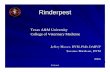 Rinderpest - Texas A&M College of Veterinary Medicine ... · Rinderpest Terminal Rinderpest Epiphora, conjunctivitis ... Rinderpest, presentation to FEAD ... Microsoft PowerPoint