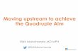 Moving upstream to achieve the Quadruple Aim · Moving upstream to achieve the Quadruple Aim ... 2013a; Thomas & Mor, 2013b; Thomas & Dosa, 2015 Adapted from: Taylor LA, ... What