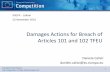 Damages Actions for Breach of Articles 101 and 102 TFEU · Damages Actions for Breach of Articles 101 and 102 TFEU Daniele Calisti daniele.calisti@ec.europa.eu ... –Indirect purchaser