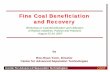Fine Coal Beneficiation and Recovery - DOE Froth Flotation Disc Filter Increasing Difficulties. Center for Advanced Separation Technologies CAST Separation Processes Used for Coal