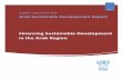 Financing Sustainable Development in the Arab Regioncss.escwa.org.lb/SDPD/3572/1-Financing.pdf · Financing Sustainable Development in the Arab Region 2015 . ... Recommendations for