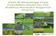 Cash & Bioenergy Crop Feasibility Study for the Bulkley ... · Cash & Bioenergy Crop Feasibility Study for ... for printing purposes- 1 ... growing specialty and alternative crops