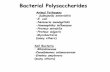 Bacterial Polysaccharides - Welcome to the Complex ...rcarlson/Bacps.pdf · Polysaccharide Functions •Prevention of desication •Survivial •Adherence •Colonization of oral
