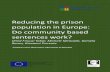 Reducing the prison population in Europe: Do community based sentences ... · Reducing the prison population in Europe: Do community based sentences work? Omid Firouzi Tabar, Michele