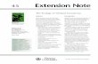 The Ecology of Wetland Ecosystems - Forests, Lands ... This extension note describes the basic ecological features of wetland ecosystems. It is a foundational docu-ment that provides