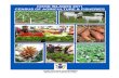 COOK ISLANDS GOVERNMENT MINISTRY OF … CAF Report Cook Islands Census of Agriculture and Fisheries 2000 This report documents the Cook Islands 2011 Census of ...