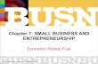Chapter 7: SMALL BUSINESS AND ENTREPRENEURSHIP · 2009-07-02 · Chapter 7: SMALL BUSINESS AND ENTREPRENEURSHIP ... LAUNCHING NEW VENTURES: ... resources to start and manage a business.