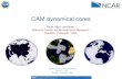 CAM dynamical cores - CESM · CAM dynamical cores CESM Working Group Meeting. ... CAM can accommodate throughput requirements on small compute platforms to ... EUL (Eulerian spectral
