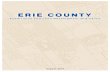ERIE COUNTY · Erie County Subdivision and Land Development Ordinance, ... Sale of Lots 30 ... Conditional Approval 35
