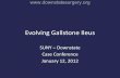 Evolving Gallstone Ileus - SUNY Downstate Medical Center · Evolving Gallstone Ileus SUNY – Downstate Case Conference . January 12, 2012 .