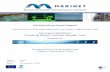 User-Project : INNWIND.EU Floating Wind Turbine … · INNWIND.EU Floating Wind Turbine ... by the IEA a generic semi-submersible floating platform has been simulated together with