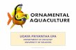ORNAMENTAL AQUACULTURE [objectives]science.kln.ac.lk/.../images/stories/Lecture_Materials/ornamental.pdf · annual fish, meaning killifish ... (Pterygoplichthys, Loricaria), Discus,