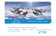 Build Smart Future Networks - Liberty Port · ---ZTE ZXR10 3900E Series Easy-maintenance ... CE to reduce the number of CE equipment and reduce interface requirement for PE. ... Congestion