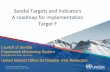 Sendai Targets and Indicators A roadmap for implementation ... · PDF fileSendai Targets and Indicators A roadmap for implementation Target F ... societies develop abilities to perform