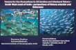Present Address Marine Zoo plankton Consultant Kerala, Indiameetings.pices.int/Publications/Presentations/2017-Pelagics/S5... · Present Address . Marine Zoo plankton Consultant ...