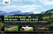 Borneo’s New World - Pandaassets.panda.org/downloads/wwfborneosnewworldspecies.pdf · Borneo’s New World ... unearthed and the future promise of more discoveries is ... mysterious