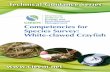 Competencies for Species Survey: White-clawed Crayfish · Competencies for Species Survey: White-clawed Crayfish  Technical Guidance Series