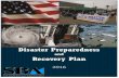 Disaster Recovery Framework. Recovery Framework. Today’s Smart, ... Preparedness and Risk ... Disaster Loan-Making Budgeting ...