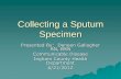 Collecting a Sputum Specimen shower, warm beverage, or steam will help to raise sputum from the chest for the collection of a spontaneous specimen . ... requisition form. ...