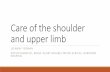Management of the hemiplegic upper limb · Upper Limb Project Group ... Shoulder anatomy/function, causes of pain Positioning Supports – pros/cons, informed choices Handling and