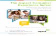 The Aspect Consumer Experience Index - GEN HQgenhq.com/wp-content/uploads/2015/06/The-Aspect-Consumer... · 2016-11-17 · changing consumer expectations that every company faces