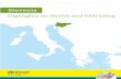 Highlights on Health and Well-being: Slovenia - … · Highlights on Health and Well-being Slovenia. The World Health Organization was established in 1948 as the ... features of Slovenian