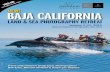 Land & Sea PhotograPhy retreat - National Audubon Society · With special permission, we’ll tour the homes of Bing Crosby and Desi Arnaz, ... Land & Sea Photography Retreat $5,330