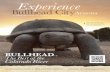 Experience - Bullhead Area Chamber of Commerce · chambeR membeR DiRectoRy Arizona & MEMBERSHIP DIRECTORY 2014 Experience ... 2010, with an estimated population of 75,000 in a 20-mile