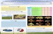 SPECIES COMPOSITION AND DISTRIBUTION OF SHELLFISH …burongtani.oas.psu.ac.th/sites/default/files/file_story/species... · Species composition and distribution of shellfish in the