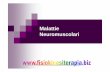 Malattie Neuromuscolari - Portale di fisiokinesiterapia e ... · Malattie Neuromoscolari Le Malattie Neuromuscolari sono disordini progressivi geneticamente determinati che colpiscono