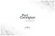 PORT COVINGTON AREA OF SPECIAL SIGN CONTROLplanning.baltimorecity.gov/sites/default/files/UDARP Presentation... · port covington area of special sign control presentation to the