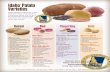 Idaho Potato Varieties · Idaho ® Potato Varieties Idaho® potatoes are unmatched in their exceptional quality, wholesome taste, and extensive variety. From the go-to Russet Burbank
