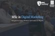 MSc in Digital Marketing - MMC Learningmmclearning.com/wp-content/uploads/2016/10/MScDM_Feb17-150v1.pdfA powerful combination of learning approaches are brought together ... and workplace.
