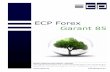 ECP Forex Garant 85 - cdnsmall.lyoness.netcdnsmall.lyoness.net/websitesharedfiles/dealer/download/de/600693... · ECP Forex Performance 2006 / 2010 Forex Garant 85 – Ihr Vorteil